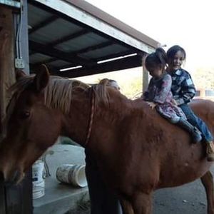 Meet your Posher, Johnny